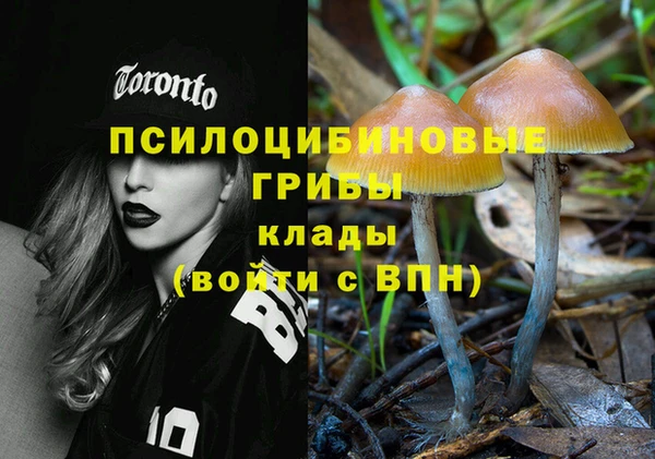 герыч Бугульма